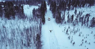 Snow-covered forest path