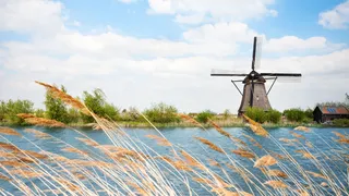 Mühle im Schilf in Südholland